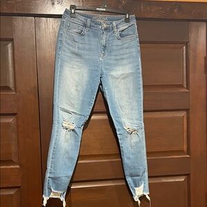 Arizona Jean Company Distressed Skinny Jeans in Light Blue Denim